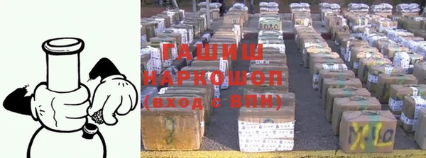 хмурый Алексин