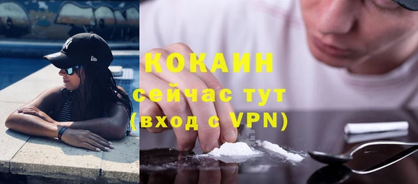 хмурый Алексин