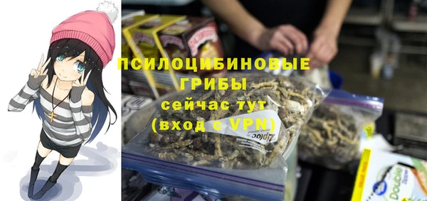 шишки Ростов