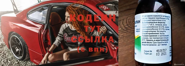 шишки Ростов