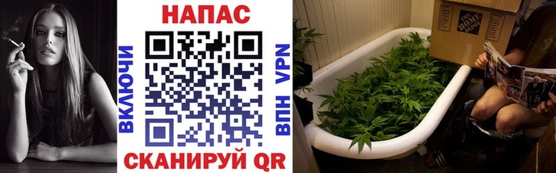 купить наркоту  Бокситогорск  blacksprut зеркало  Шишки марихуана ГИДРОПОН 